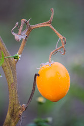 Similar image 8504196