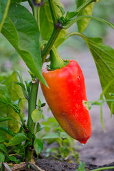 Similar image 8504197