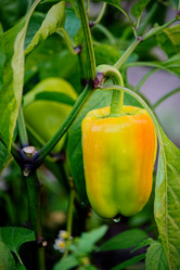 Similar image 8504198