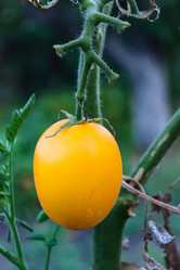 Similar image 8504199