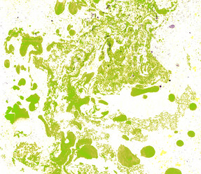 Similar image 8504375