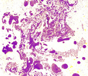 Similar image 8504376