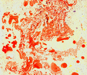 Similar image 8504378