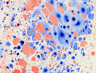 Similar image 8504386