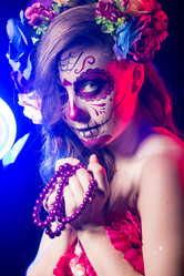 Similar image 8504404