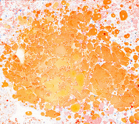 Similar image 8504428