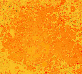 Similar image 8504429