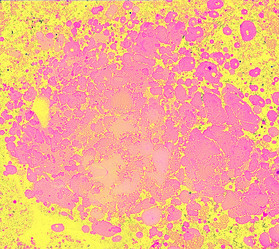 Similar image 8504430