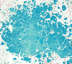 Similar image 8504443