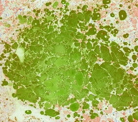 Similar image 8504447