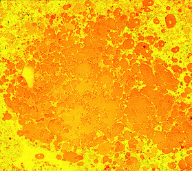 Similar image 8504452