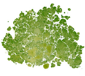 Similar image 8504457