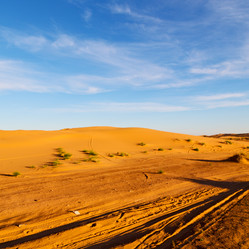 Similar image 8504695