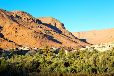 Similar image 8504698