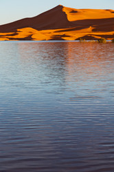 Similar image 8504765