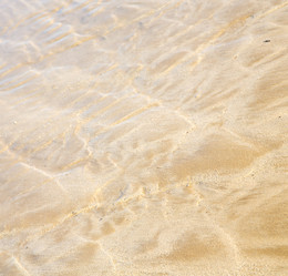 Similar image 8504774