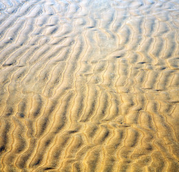 Similar image 8504784