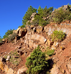 Similar image 8504944