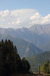 Similar image 8505131