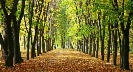 Similar image 8505307