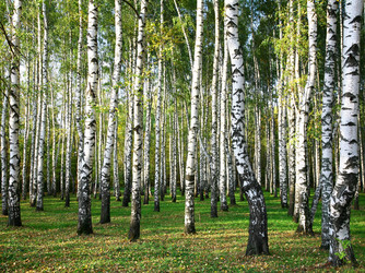 Similar image 8505308