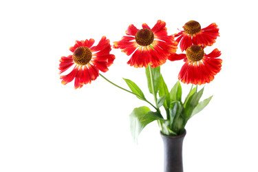 Similar image 8505390