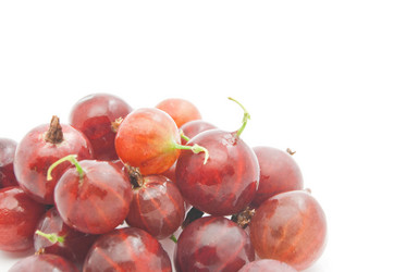 Similar image 8505525