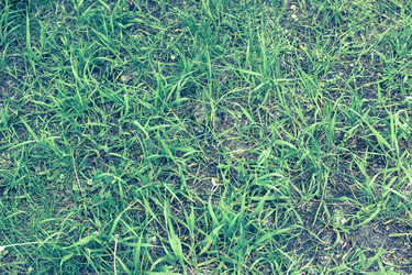 Similar image 8505638