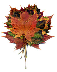 Similar image 8505748