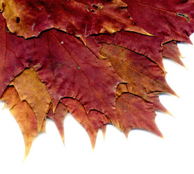 Similar image 8505763