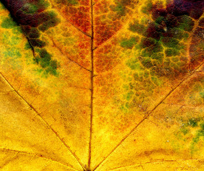 Similar image 8505765