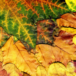 Similar image 8505771