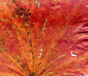 Similar image 8505782