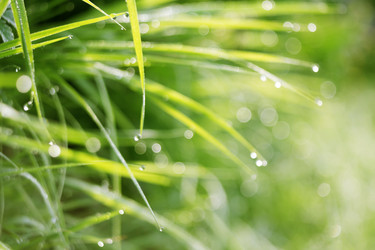 Similar image 8505793