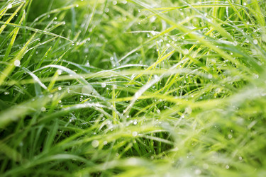 Similar image 8505802