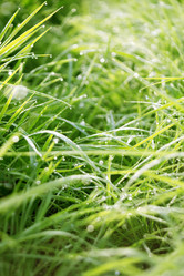 Similar image 8505803