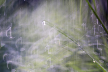 Similar image 8505805