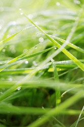 Similar image 8505806