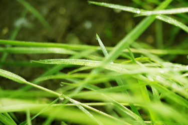 Similar image 8505807