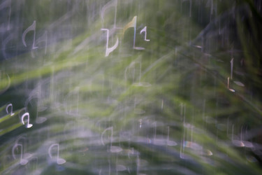 Similar image 8505808