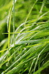 Similar image 8505809