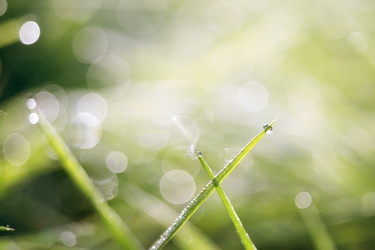 Similar image 8505810