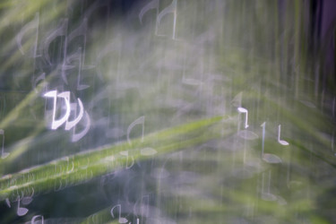 Similar image 8505811