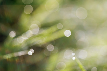 Similar image 8505812