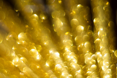 Similar image 8505814