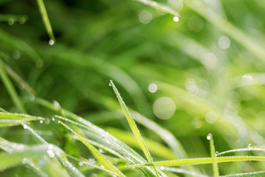 Similar image 8505817