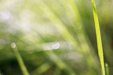 Similar image 8505818