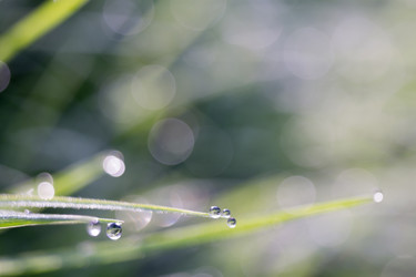 Similar image 8505819