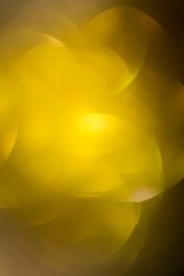 Similar image 8505822