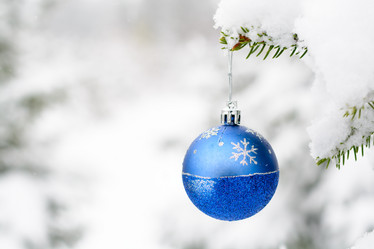 Similar image 8505940